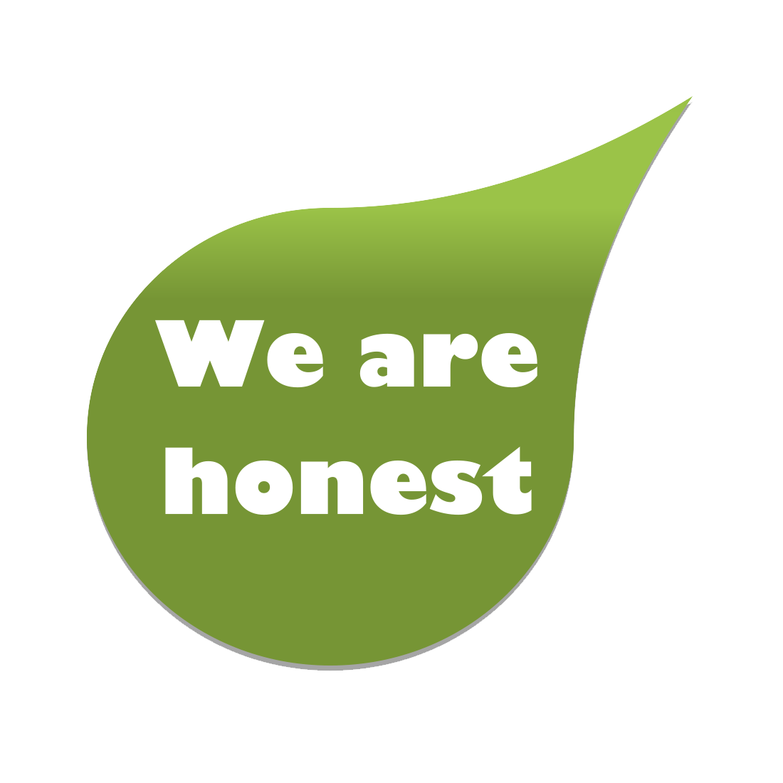 We are honest